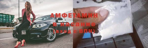 гидропоника Пересвет