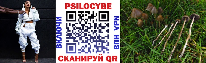 Псилоцибиновые грибы Magic Shrooms  блэк спрут рабочий сайт  Катав-Ивановск  продажа наркотиков 